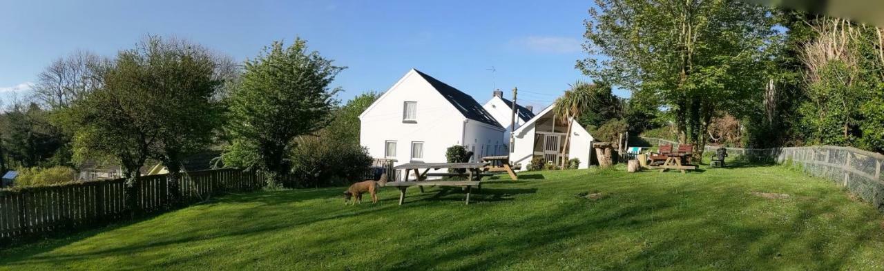 Ivybridge Guesthouse Fishguard Exterior photo